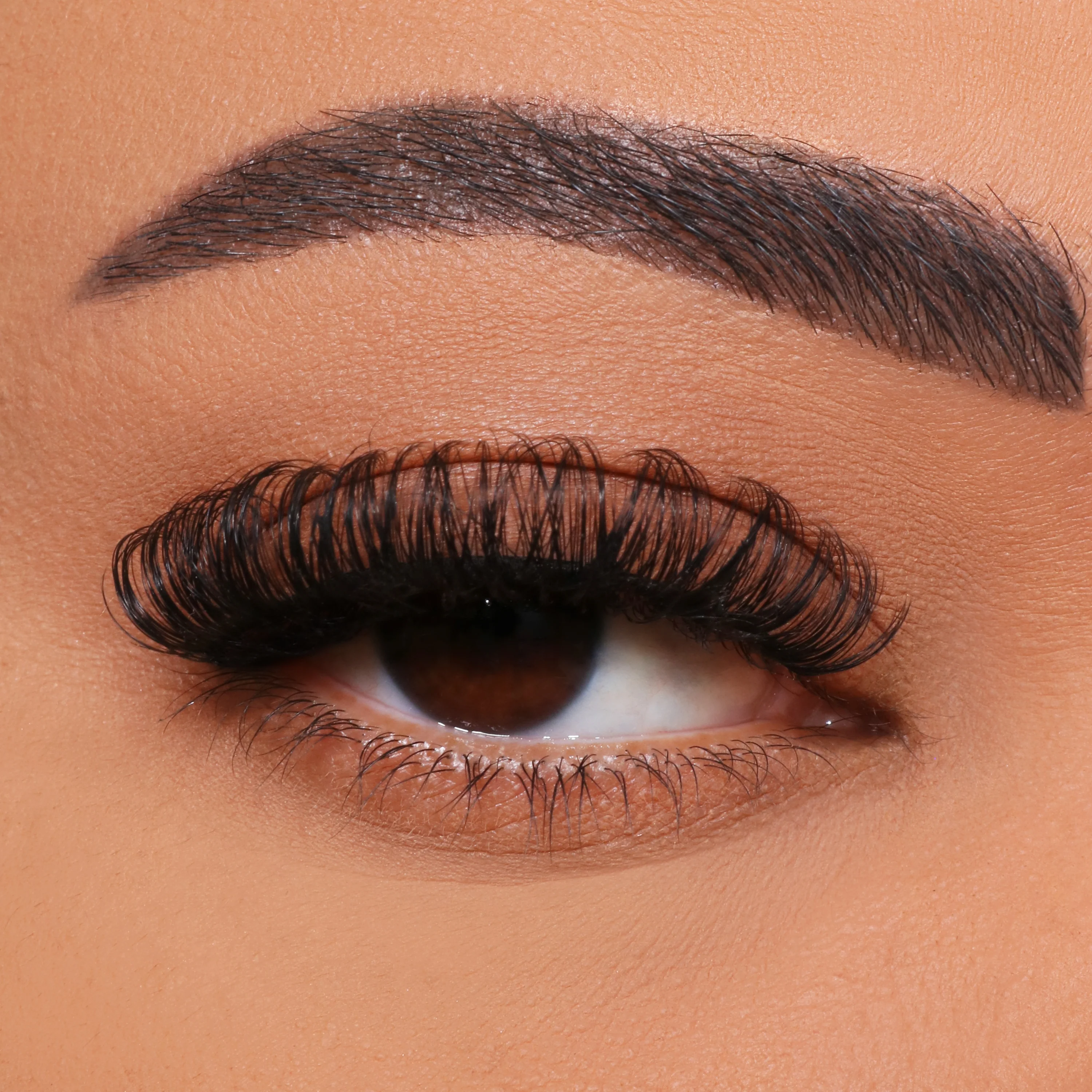 Hvordan DIY multi-blomstrende øyenvippe poding?